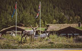 Saltdal Turistsenter
